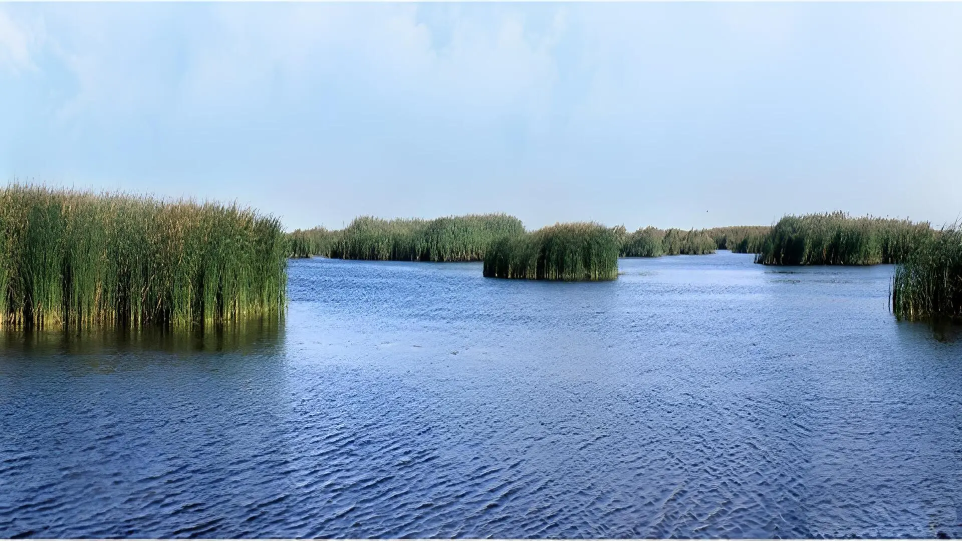 Рыбалка в Астрахани